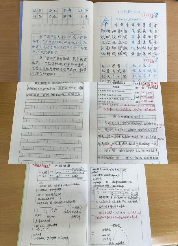 4月视导